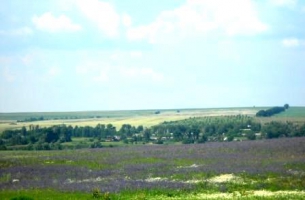Мурзихинское сельское поселение 